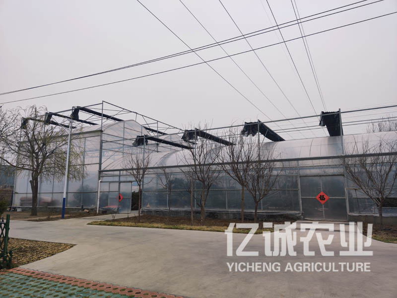 玻璃连栋温室