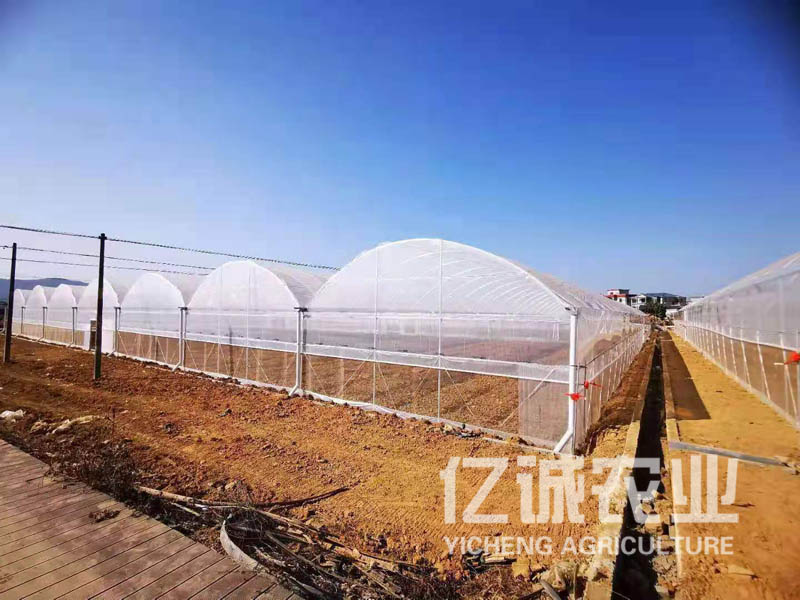 玻璃温室