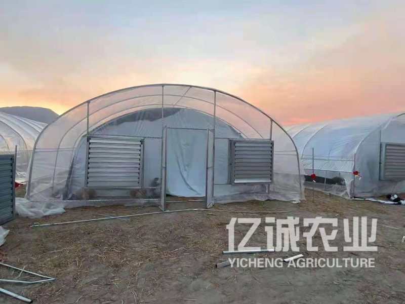 玻璃温室