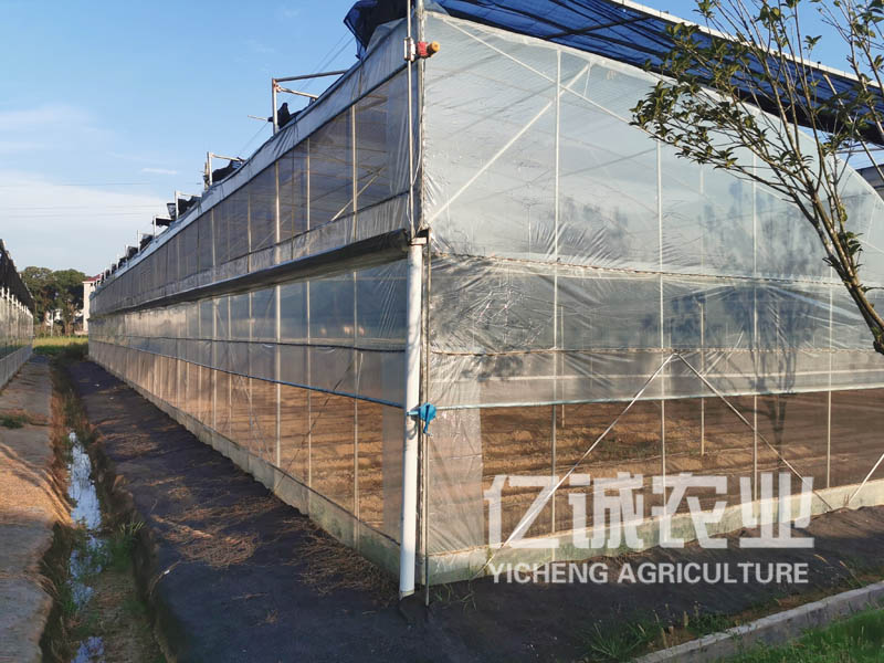 玻璃温室