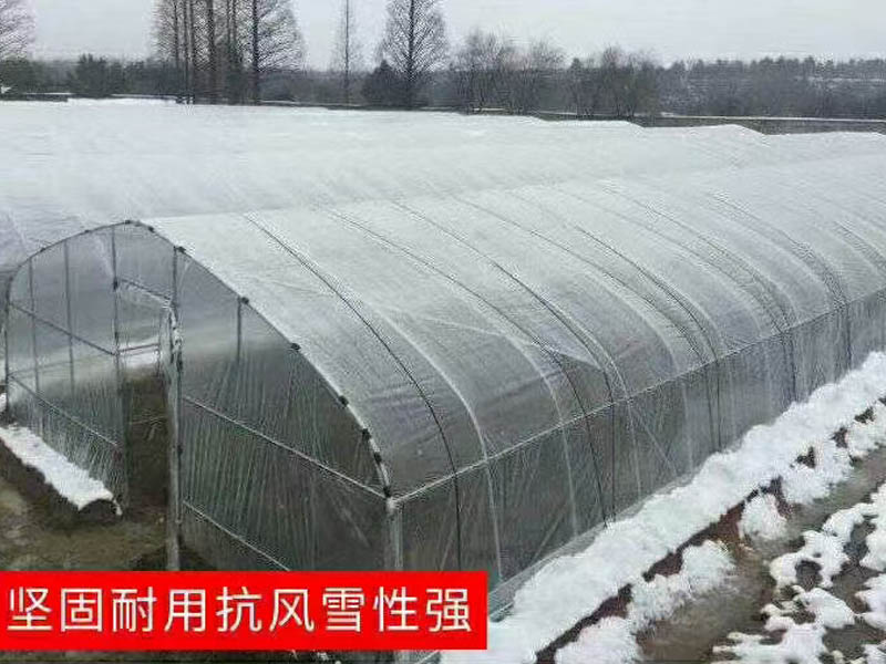 玻璃温室