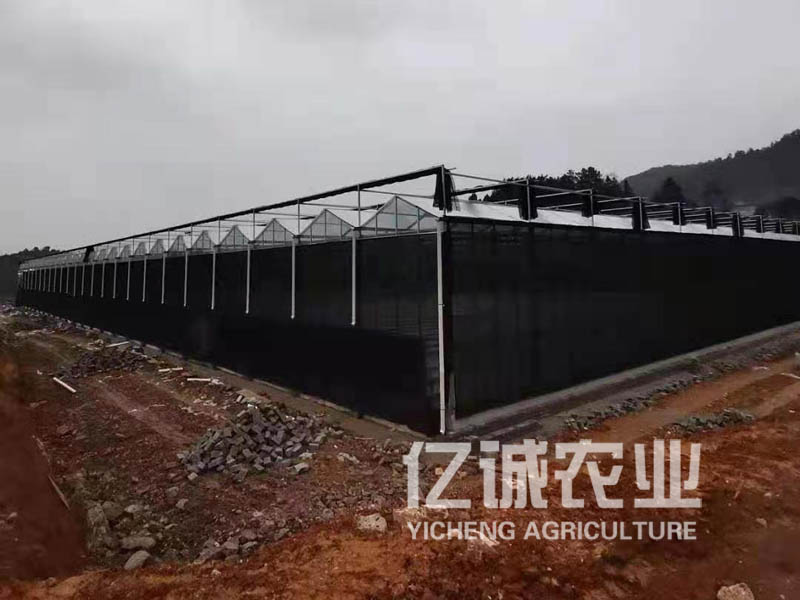 玻璃温室