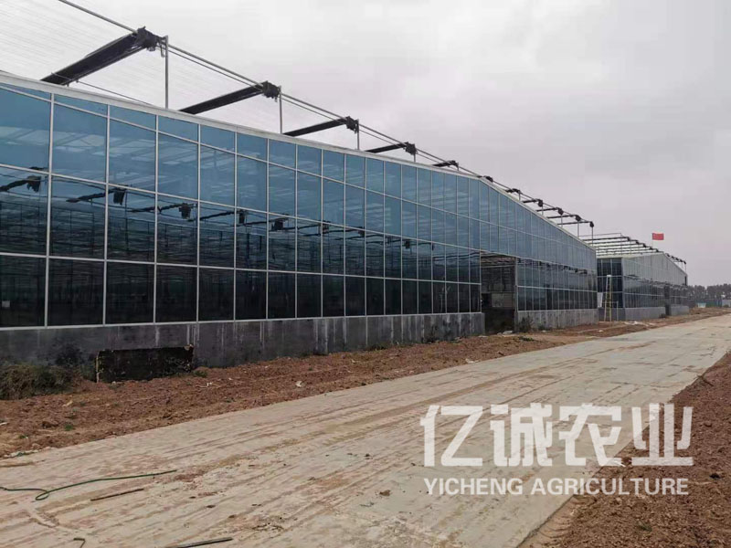 玻璃温室