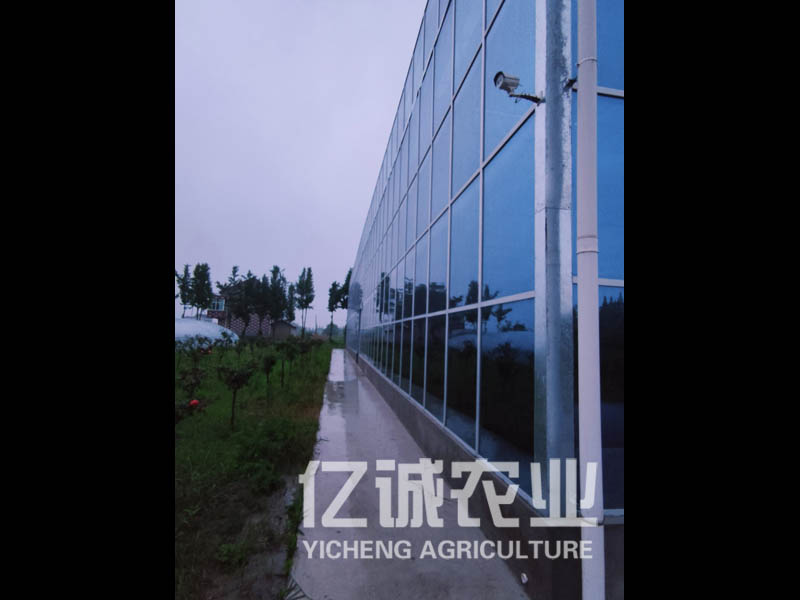 玻璃温室
