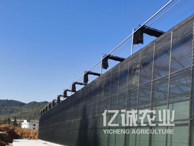 玻璃温室