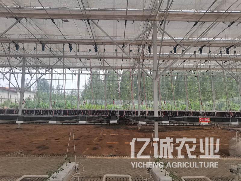 玻璃连栋温室