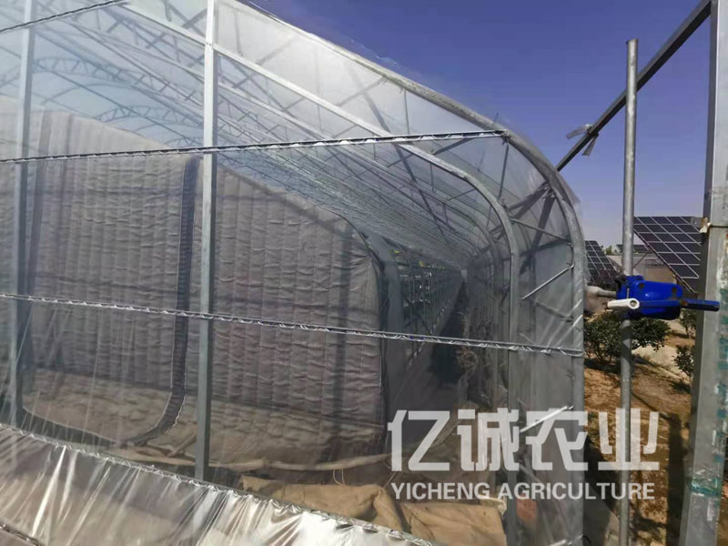 玻璃连栋温室