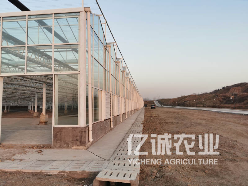玻璃温室大棚