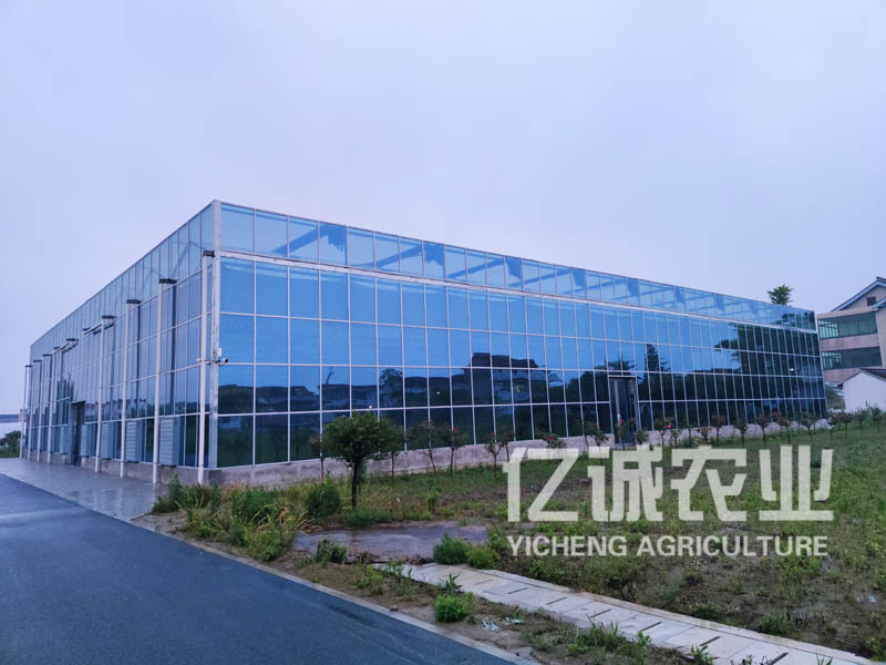 玻璃连栋温室