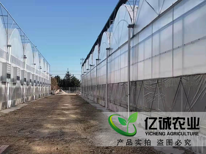 玻璃连栋温室