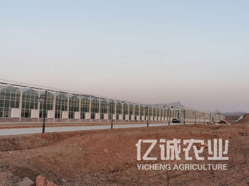 连栋玻璃温室大棚