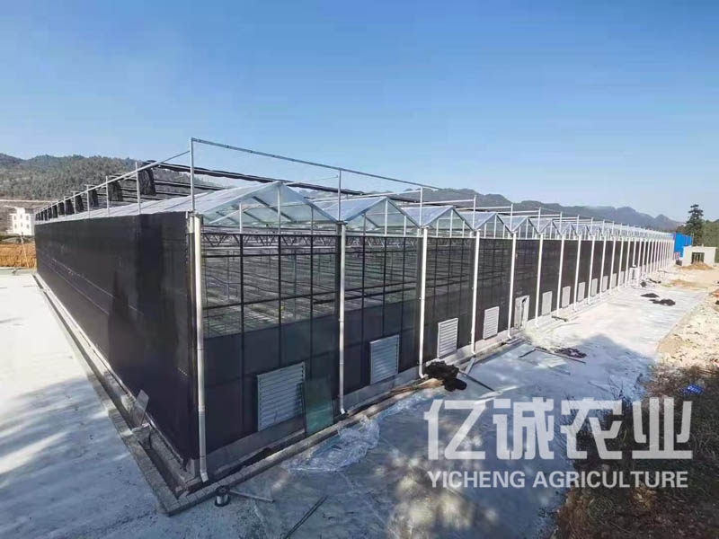 连栋玻璃温室大棚