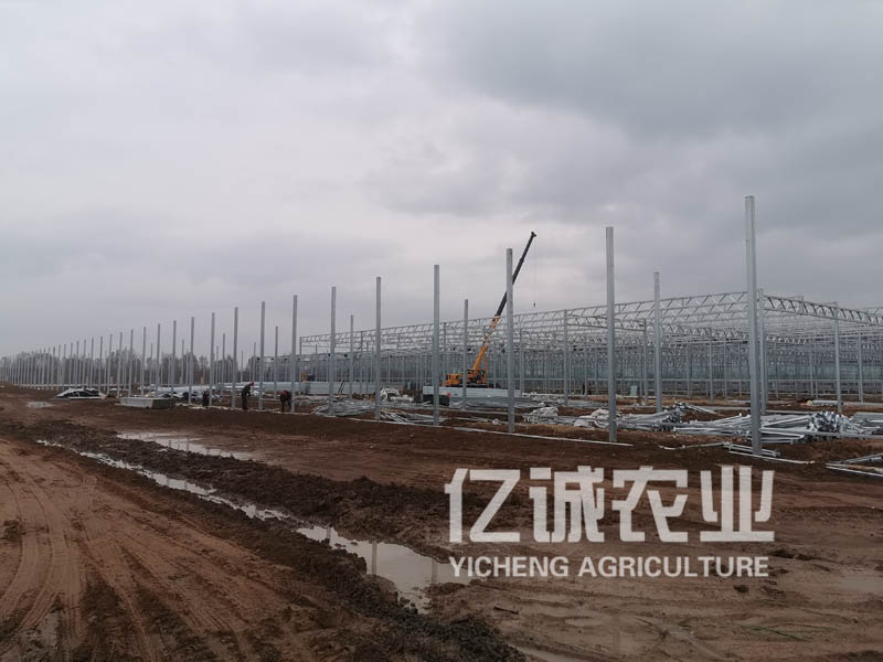连栋玻璃温室大棚
