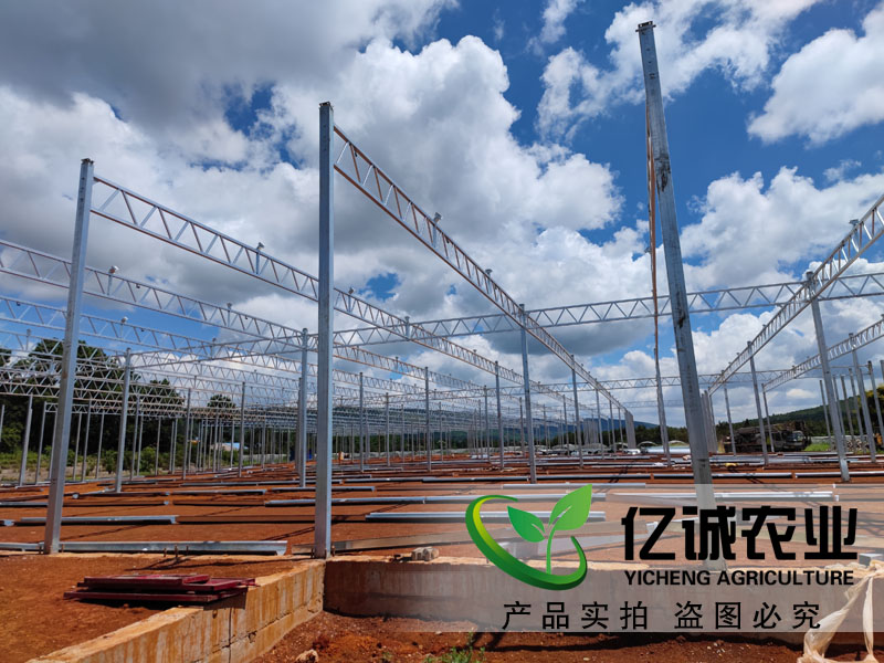 连栋玻璃温室大棚