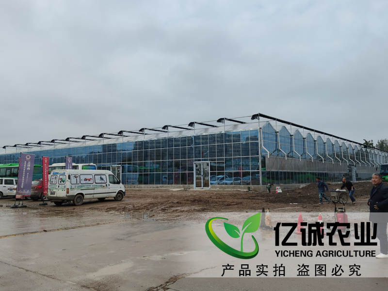 连栋玻璃温室大棚