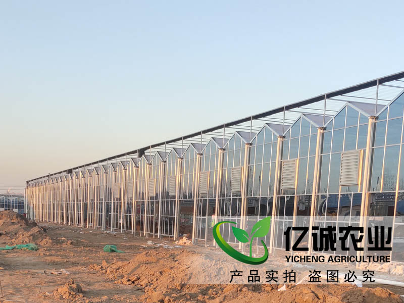 连栋玻璃温室大棚
