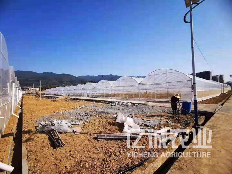 连栋玻璃温室大棚