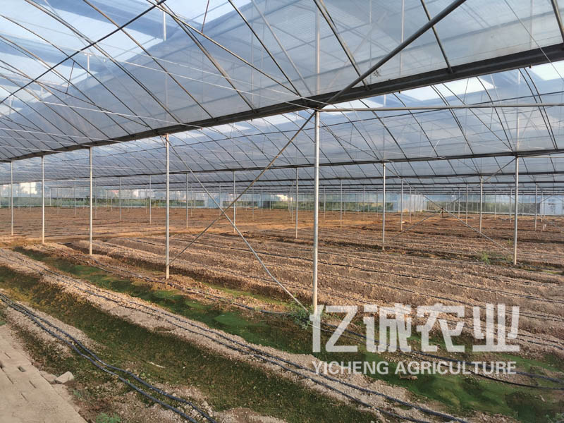 玻璃温室