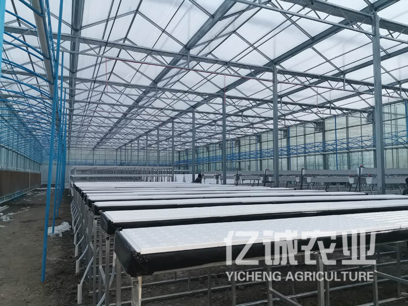 育苗温室大棚