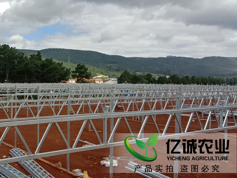 玻璃连栋温室