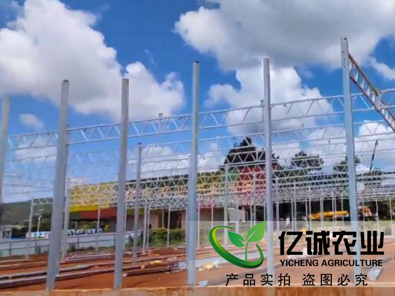 玻璃连栋温室