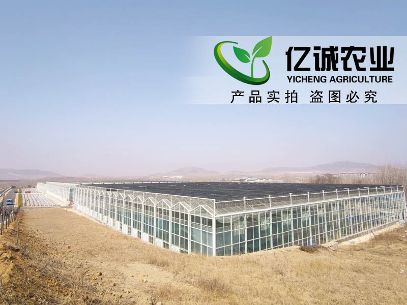 连栋玻璃温室大棚