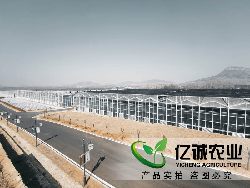 连栋玻璃温室大棚