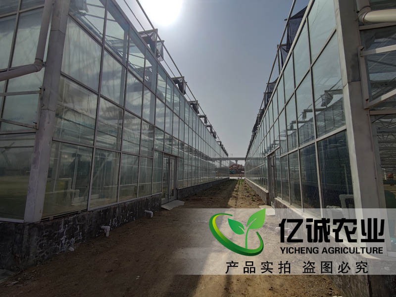 连栋玻璃温室项目