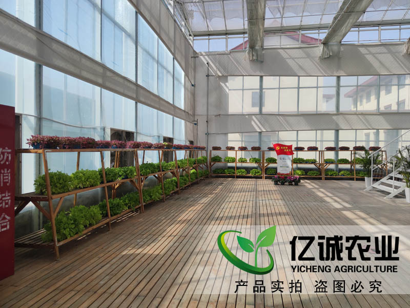 现代农业种植玻璃温室大棚