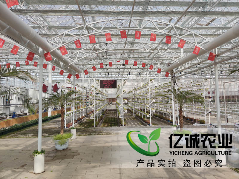 现代农业种植玻璃温室大棚