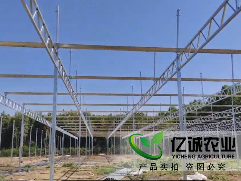 玻璃温室大棚建设