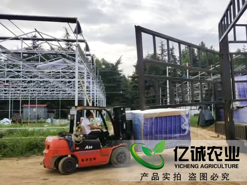 阳光板温室大棚