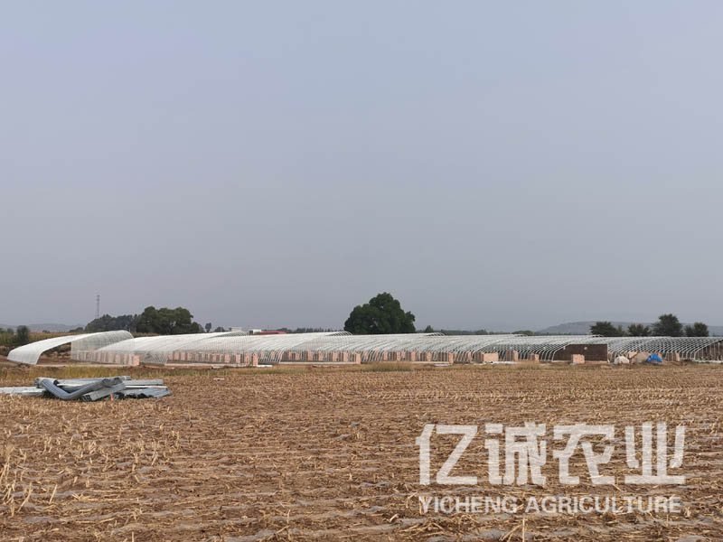 日光连栋温室大棚
