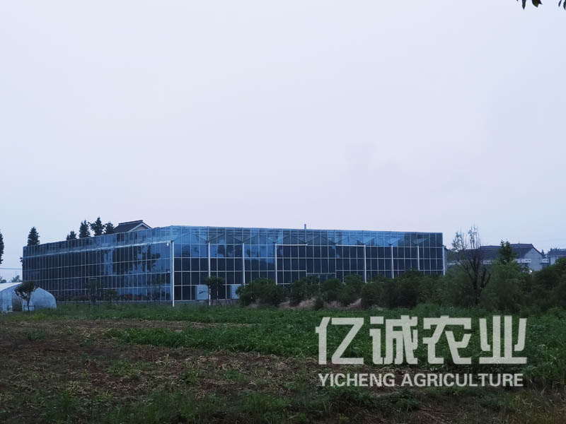 玻璃智能温室大棚造价