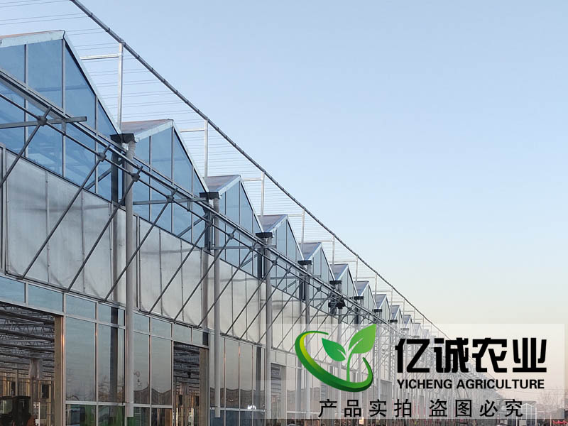 玻璃温室大棚建造