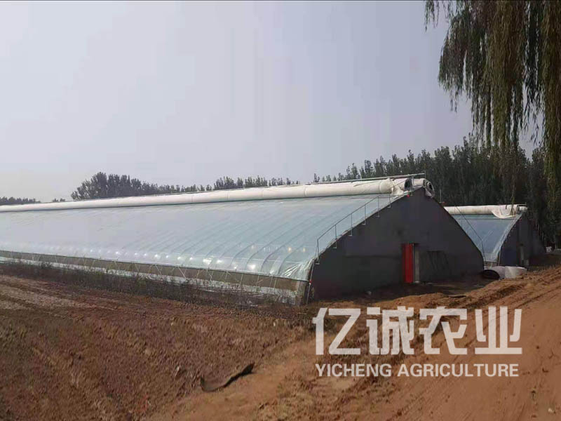 拱形连栋温室大棚