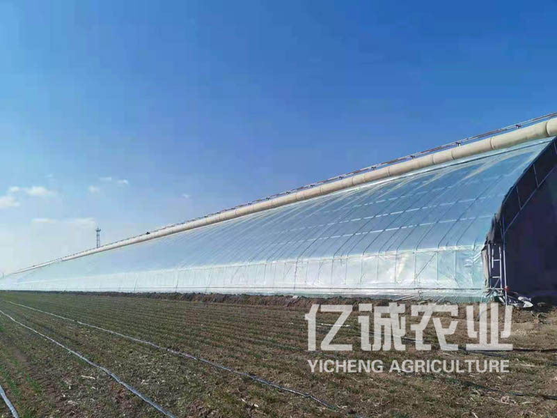 拱形连栋温室大棚