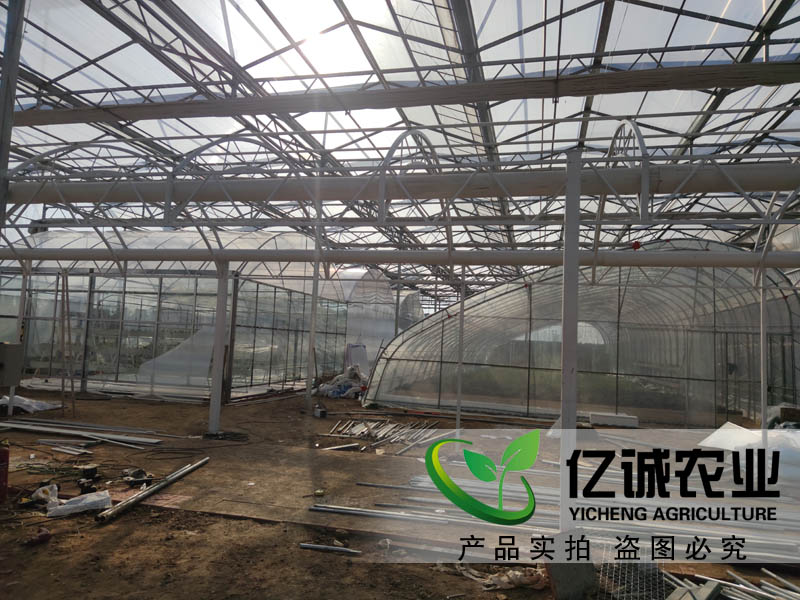 景观玻璃大棚温室