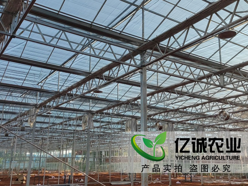承建连栋玻璃温室大棚
