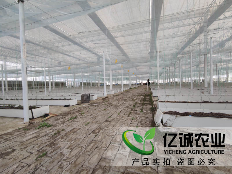 一、现代化玻璃温室的分类： 1、按结构形式分：有单坡面双坡面、单坡面三坡面和双坡面三坡度等四种类型； 2、按后屋面高度分：有高脚式和低脚式两种类型； 3、根据前墙的结构不同分为土墙和后砌砖墙两种； 4、根据后屋面的形状可分为平顶和平顶加斜度两种； 二、现代化玻璃温室的性能特点： 1、透光性； 　　透明度高是评价光照强度的重要指标之一，透光率是指透入光线中的可见光的百分率，表示的是单位面积上所接受的太阳辐射量的大小.透过率受多种因素的影响而变化.在冬季由于太阳高度角小和大气透明度差的影响，使透光率下降很快；夏季则因 反射率高和空气透明度好而使透光率有所提高； 2、保温性； 　　保温性能包括两个方面：一是保温和蓄热能力；二是保持适宜的小气候的能力.前者指在一定的时间范围内室外气温保持一定的程度；后者是指能够满足作物生长的需要而在较长时间内（1～2个月或更长一些时间）外界气温保持相对稳定的能力； 3、抗风雪性； 　　抗风雪的性能主要体现在两个方面：一是防风作用——即抵抗大风的作用力大小以及抵抗大雪的作用力大小两方面.其值越大越好！二是防雪作用——即在降下 大雪时对作物产生多大的影响以及多长时间才能恢复生长等方面的问题！其值越小越好； 4、耐候性； 　　耐候性好是指在高温干旱寒冷条件下都能正常生长结实而不致受害的特性！通常所说的耐热性和耐寒性的要求实际上就是指的 耐候性好的意思！当然这也不是绝对的！