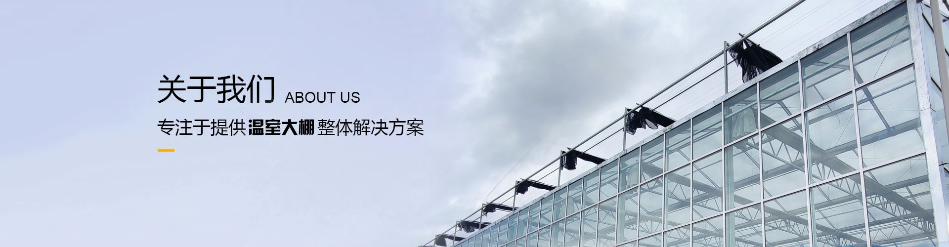 蔬菜种植玻璃连栋温室厂家